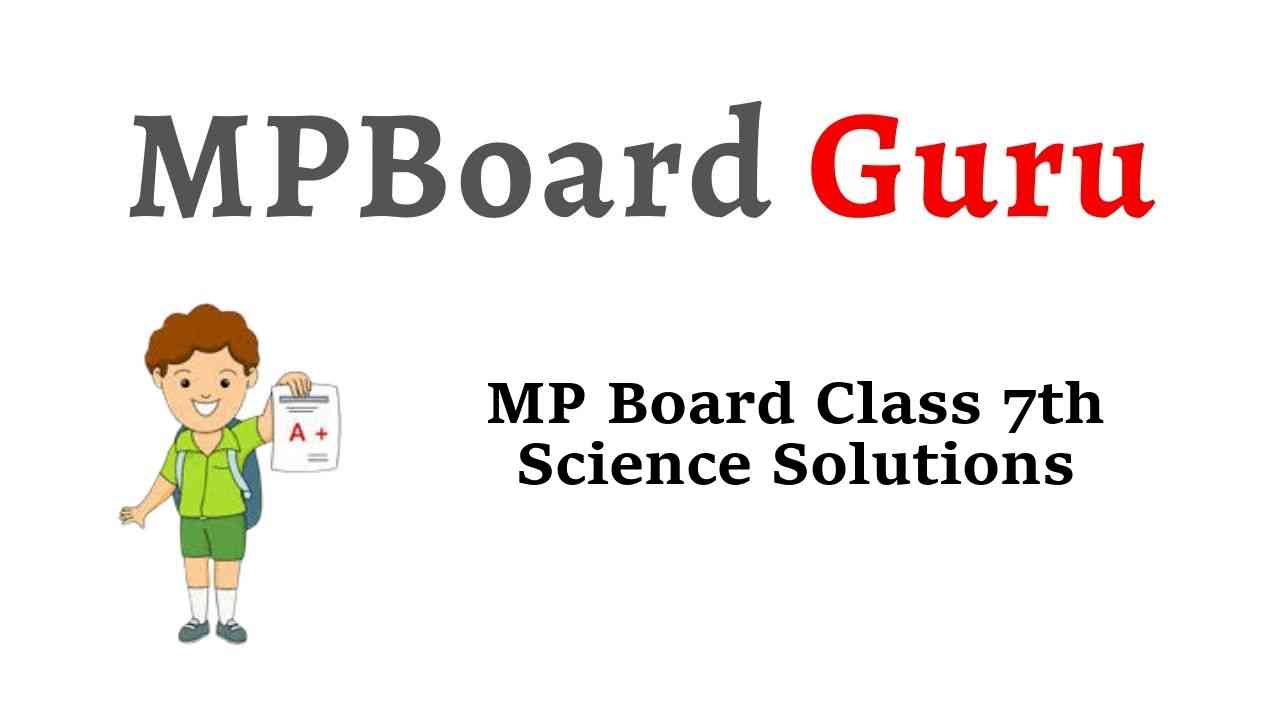MP Board Class 7th Science Solutions विज्ञान
