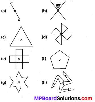 MP Board Class 7th Maths Solutions Chapter 14 Symmetry Ex 14.2 8