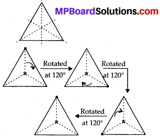 MP Board Class 7th Maths Solutions Chapter 14 Symmetry Ex 14.3 1