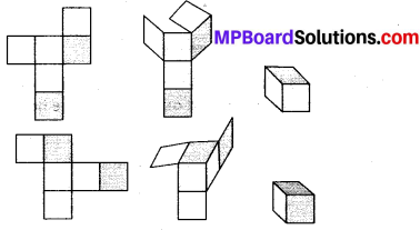 MP Board Class 7th Maths Solutions Chapter 15 Visualising Solid Shapes Ex 15.1 15