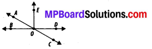 MP Board Class 7th Maths Solutions Chapter 5 Lines and Angles Ex 5.1 8