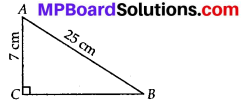 MP Board Class 7th Maths Solutions Chapter 6 The Triangles and Its Properties Ex 6.5 2