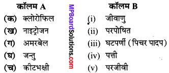MP Board Class 7th Science Solutions Chapter 1 पादपों में पोषण 2