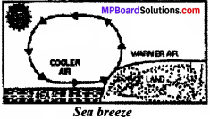 MP Board Class 7th Social Science Solutions Chapter 10 Air Pressure and Wind-3