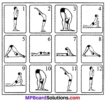 MP Board Class 8th Special English Chapter 20 Yoga: A Way of Life