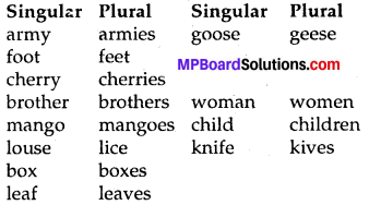 Mp Board Class 8 English Chapter 8