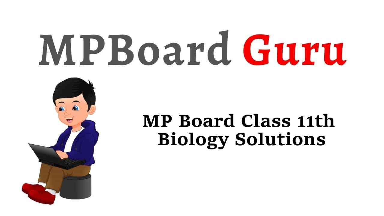 MP Board Class 11th Biology Solutions जीव विज्ञान