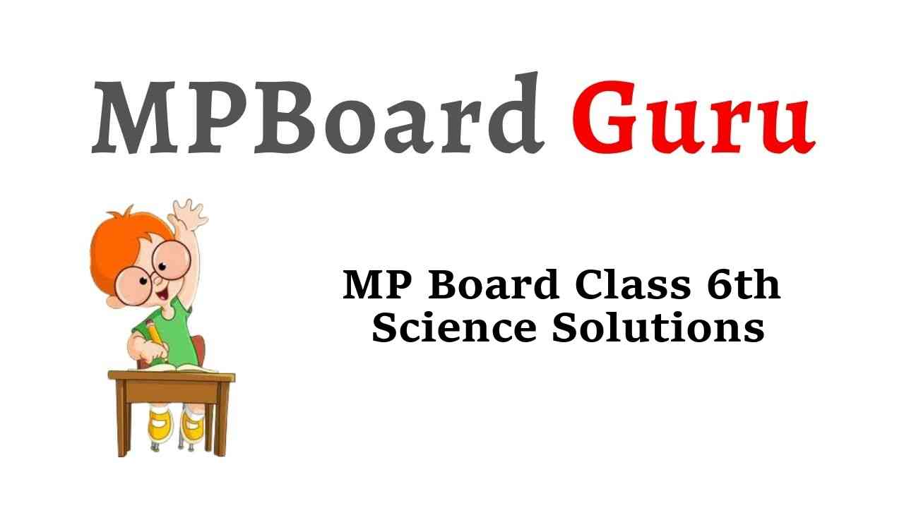 MP Board Class 6th Science Solutions विज्ञान