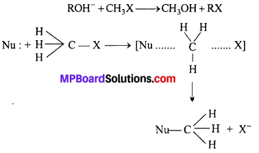 MP Board Class 12th Chemistry Solutions Chapter 10 Haloalkanes and Haloarenes 119