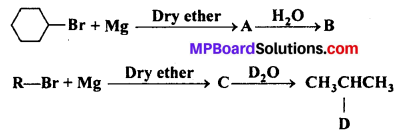 MP Board Class 12th Chemistry Solutions Chapter 10 Haloalkanes and Haloarenes 16