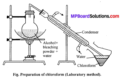 MP Board Class 12th Chemistry Solutions Chapter 10 Haloalkanes and Haloarenes 99