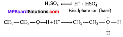 MP Board Class 12th Chemistry Solutions Chapter 11 Alcohols, Phenols and Ethers 112