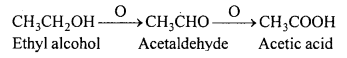 MP Board Class 12th Chemistry Solutions Chapter 11 Alcohols, Phenols and Ethers 119