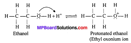 MP Board Class 12th Chemistry Solutions Chapter 11 Alcohols, Phenols and Ethers 54