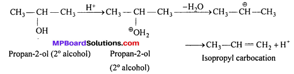 MP Board Class 12th Chemistry Solutions Chapter 11 Alcohols, Phenols and Ethers 67