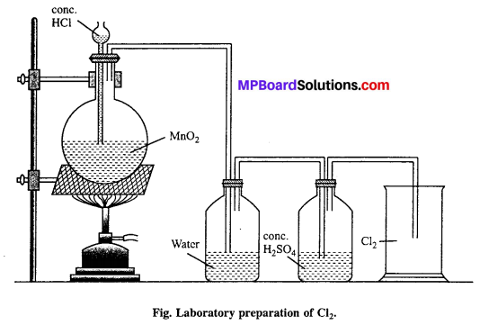 MP Board Class 12th Chemistry Solutions Chapter 7 The p-Block Elements 70