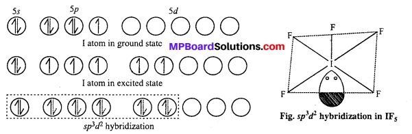 MP Board Class 12th Chemistry Solutions Chapter 7 The p-Block Elements 92
