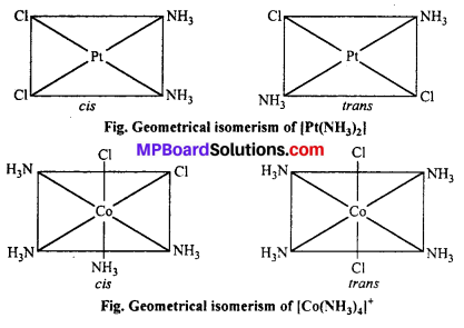 MP Board Class 12th Chemistry Solutions Chapter 9 Coordination Compounds 13