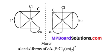 MP Board Class 12th Chemistry Solutions Chapter 9 Coordination Compounds 20