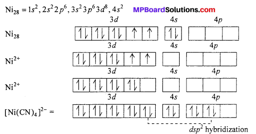 MP Board Class 12th Chemistry Solutions Chapter 9 Coordination Compounds 51