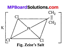 MP Board Class 12th Chemistry Solutions Chapter 9 Coordination Compounds 53