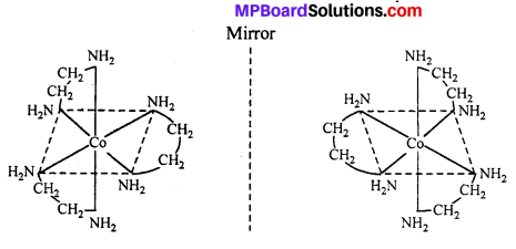MP Board Class 12th Chemistry Solutions Chapter 9 Coordination Compounds 71