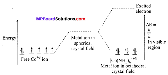 MP Board Class 12th Chemistry Solutions Chapter 9 Coordination Compounds 73