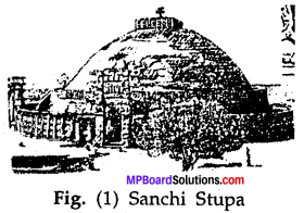MP Board Class 7th Special English Chapter 18 The Great Pyramid 6