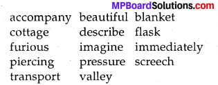 MP Board Class 8th Special English Revision Exercises 2 2