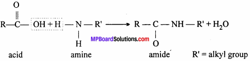 MP Board Class 12th Chemistry Solutions Chapter 14 Biomolecules - 19