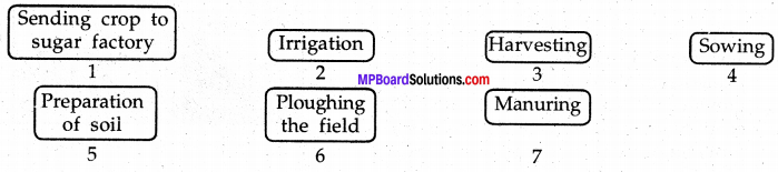 Mp Board Solution Class 8 Science