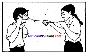 Mp Board Class 8 Science Solution Chapter 13