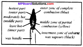Mp Board Class 8 Science Solution Chapter 6