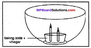 Mp Board Class 8 Social Science Solution Chapter 6