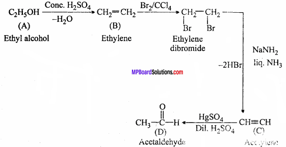 MP Board Class 12th Chemistry Important Questions Chapter 10 Haloalkanes and Haloarenes 47