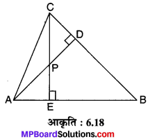 MP Board Class 10th Maths Solutions Chapter 6 त्रिभुज Ex 6.3 14
