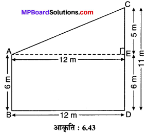 MP Board Class 10th Maths Solutions Chapter 6 त्रिभुज Ex 6.5 11