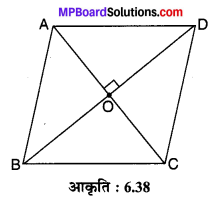 MP Board Class 10th Maths Solutions Chapter 6 त्रिभुज Ex 6.5 6