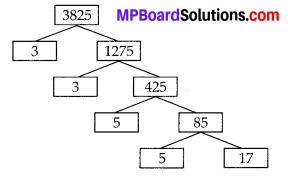 MP Board Class 10th Maths Solutions Chapter 1 Real Numbers Ex 1.2 3
