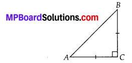 MP Board Class 10th Maths Solutions Chapter 6 Triangles Ex 6.5 5
