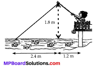 MP Board Class 10th Maths Solutions Chapter 6 Triangles Ex 6.6 25