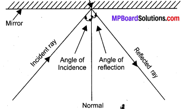 MP Board Class 10th Science Solutions Chapter 10 Light Reflection and Refraction 20