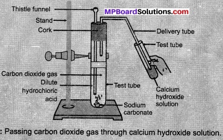 MP Board Class 10th Science Solutions Chapter 2 Acids, Bases and Salts 15