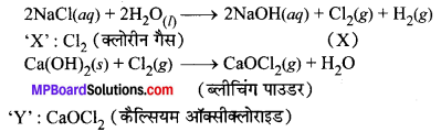 MP Board Class 10th Science Solutions Chapter 2 अम्ल, क्षारक एवं लवण 13