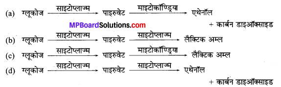 MP Board Class 10th Science Solutions Chapter 6 जैव प्रक्रम 3