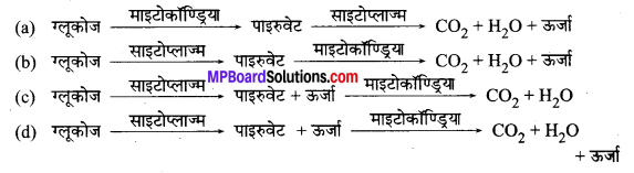 MP Board Class 10th Science Solutions Chapter 6 जैव प्रक्रम 5