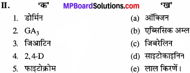 MP Board Class 11th Biology Solutions Chapter 15 पादप वृद्धि एवं परिवर्धन - 2