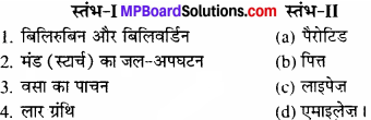 MP Board Class 11th Biology Solutions Chapter 16 पाचन एवं अवशोषण - 2