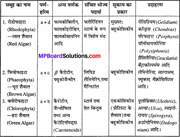 MP Board Class 11th Biology Solutions Chapter 3 वनस्पति जगत - 1