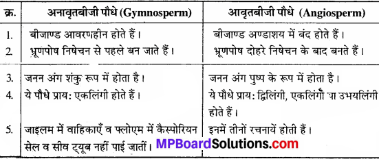 MP Board Class 11th Biology Solutions Chapter 3 वनस्पति जगत - 10